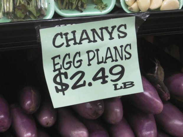 Chanys Egg Plans